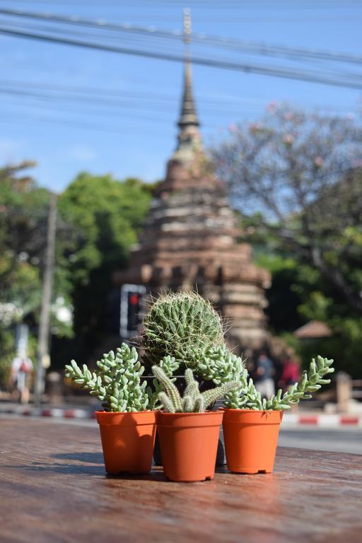 See You Soon, Chiang Mai Eksteriør bilde